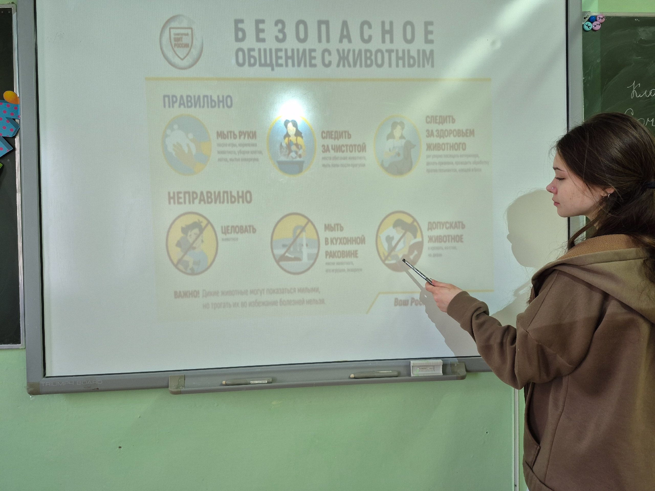 Изображения.