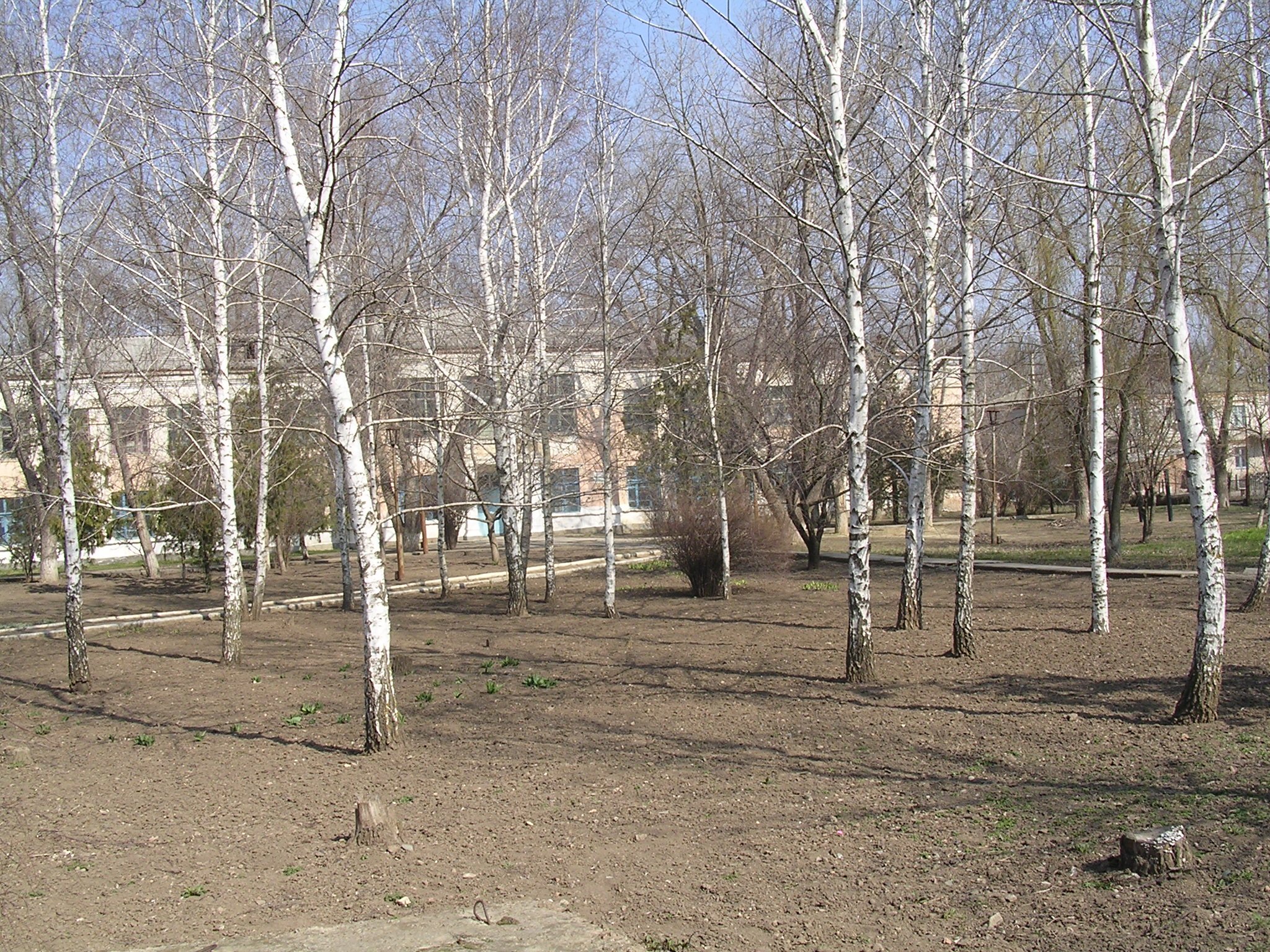 Старая школа Старая школа.