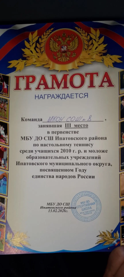 Муниципальные соревнования по настольному теннису, посвященном Году единства народов России.