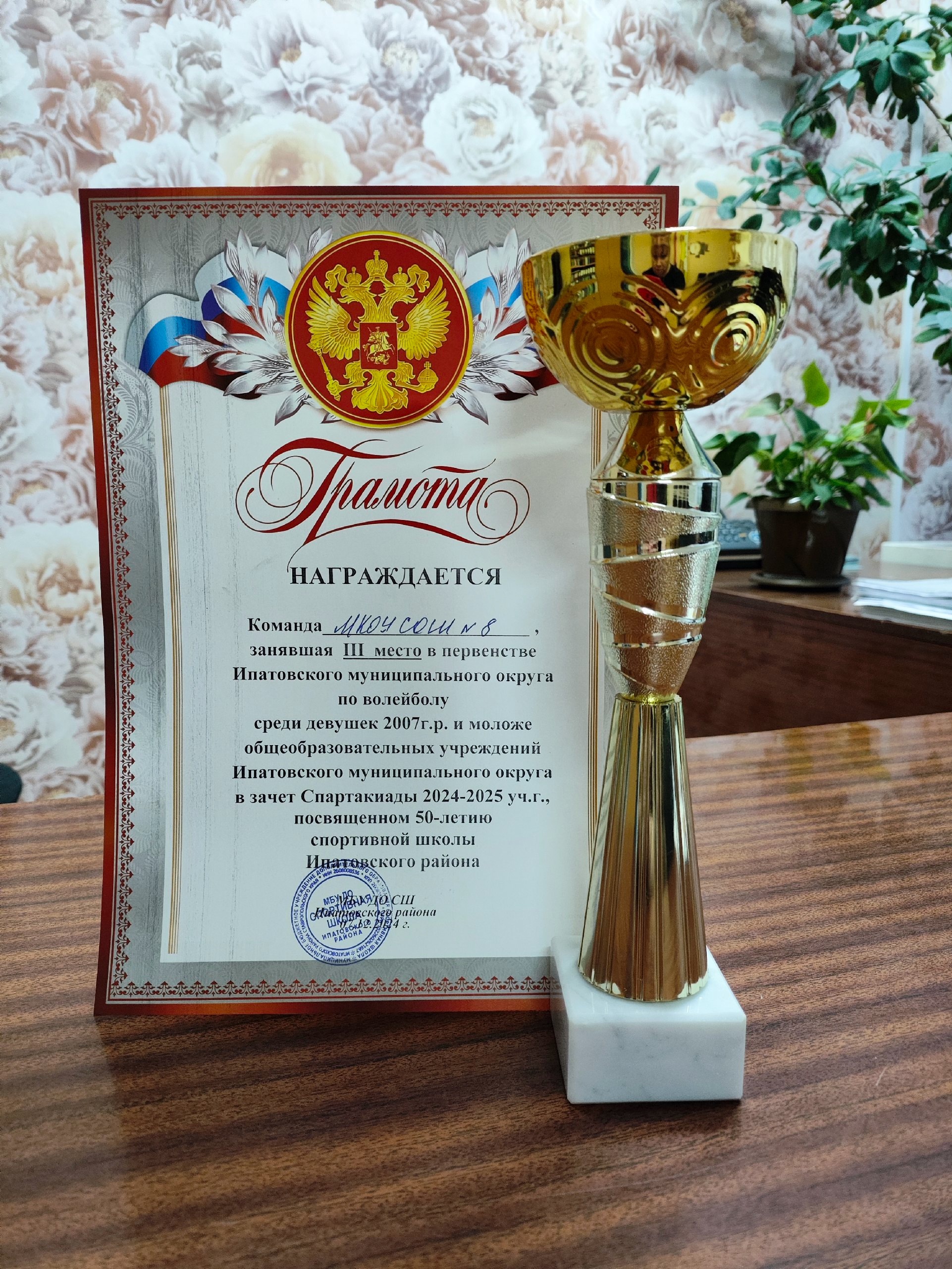 Первенство Ипатовского МО по волейболу.
