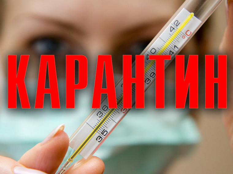 Закрытие школы на карантин.